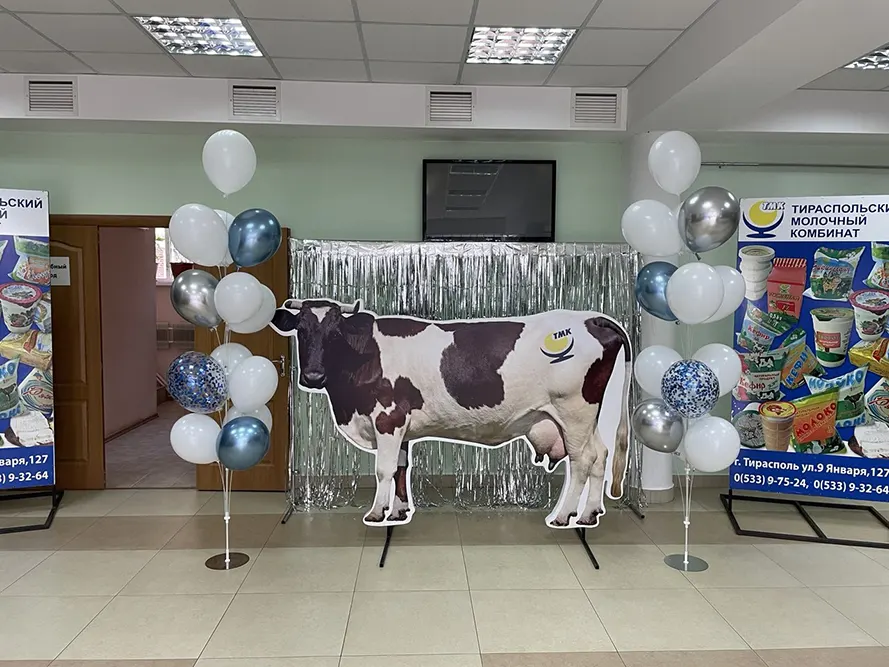 Фотозона из шаров на день рождения/юбилей/выпускной: арки, колонны, цифры, декор прессвол