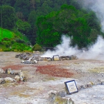 Лицензированный гид на Мадейре