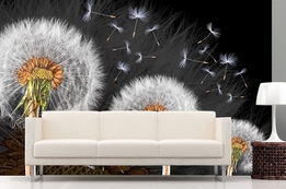 Широкоформатная печать, рекламные плакаты, постеры в Тирасполе, Бендерах, Рыбнице, ПМР, Приднестровье