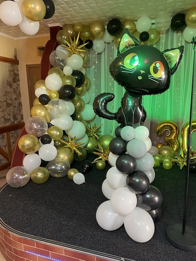 Фигуры из шаров на детский день рождения оформление и подарок Тирасполь Бендеры ПМР